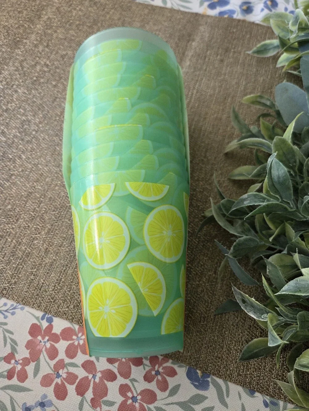 C&C California Green Lemon Slice Acrylic Tumbler